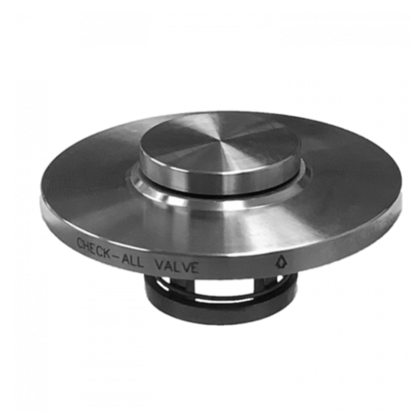 Flange Insert Class 600 Series (F6) CheckAll Valve Manufacturing